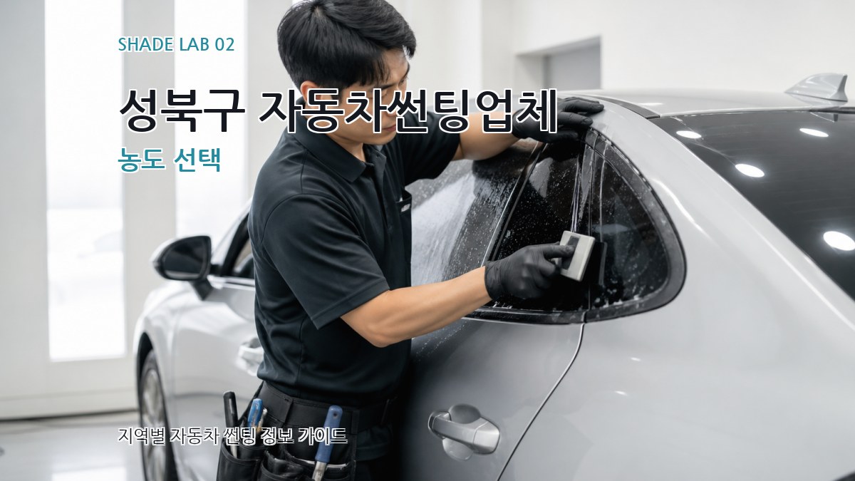 성북구 자동차썬팅업체 농도 선택